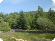 Explore Northumberland National Park