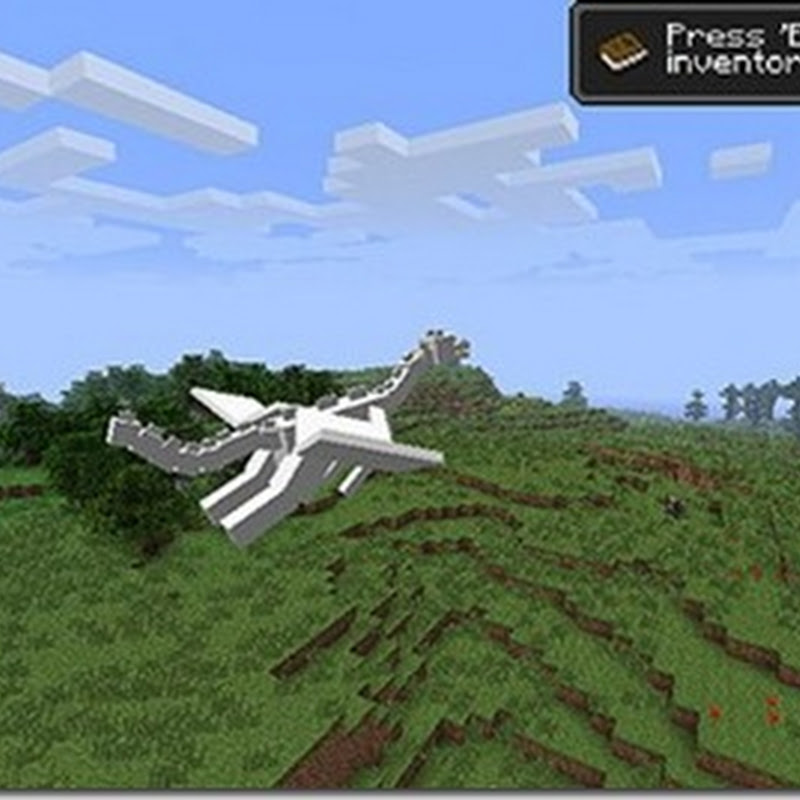 In der Wildnis von Minecraft wurden Drachen gesichtet