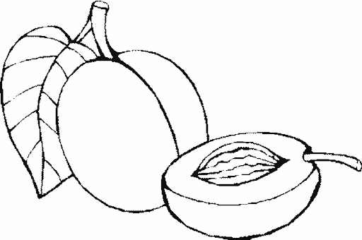 Imagenes de un durazno para colorear - Imagui