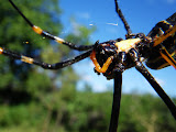 South Africa - 105.JPG