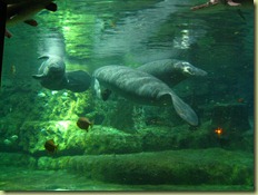 IMG_1646 IMG_1646