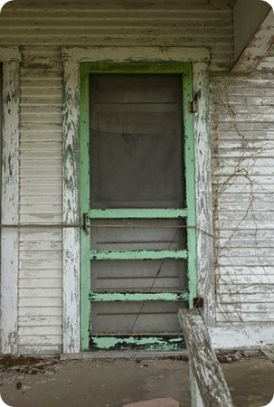 Old GREEN screen door