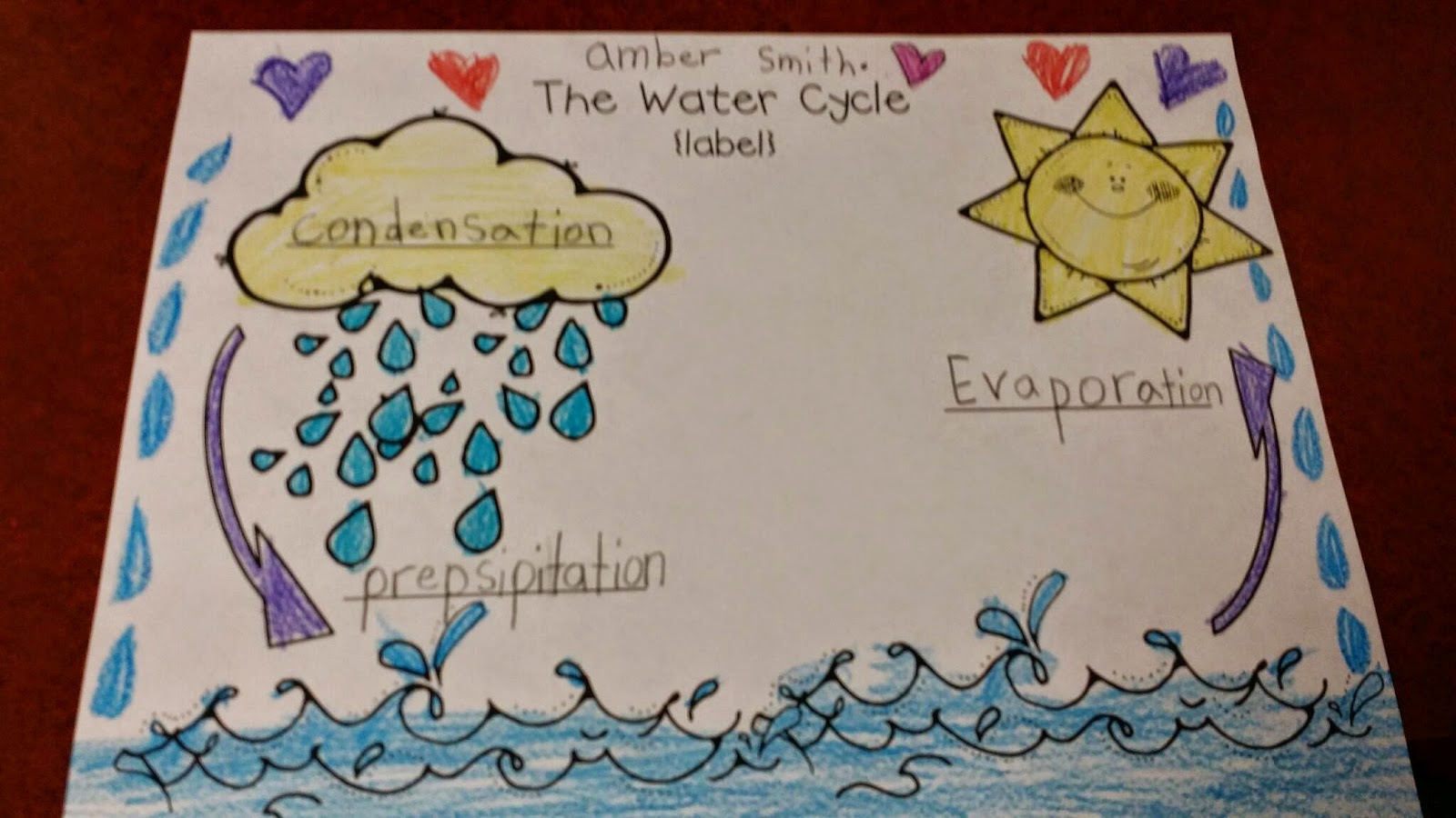 Mrs. Peterson's 1st Grade: The Water Cycle