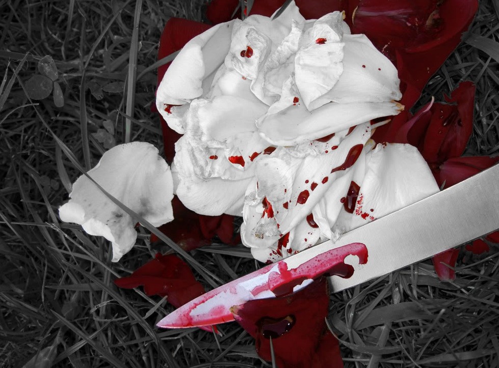 [Bleeding_Roses_by_Vampiric_Pirate%255B6%255D.jpg]