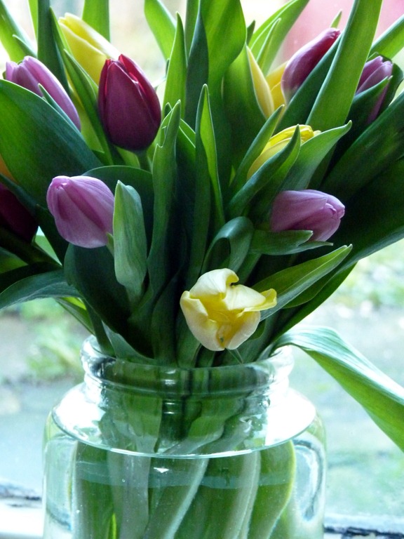 [new%2520year%2520flowers%2520001%255B6%255D.jpg]