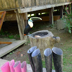 The jungle boots that got us through our stay in the amazon.