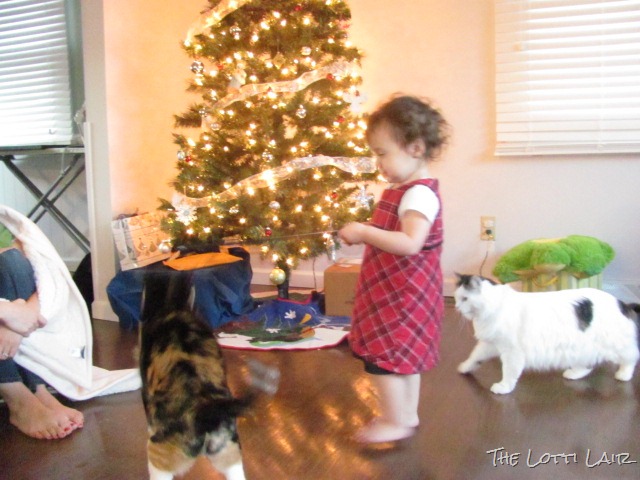 [IMG_7041%255B10%255D.jpg]