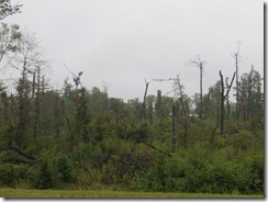 IMG_3963 IMG_3963