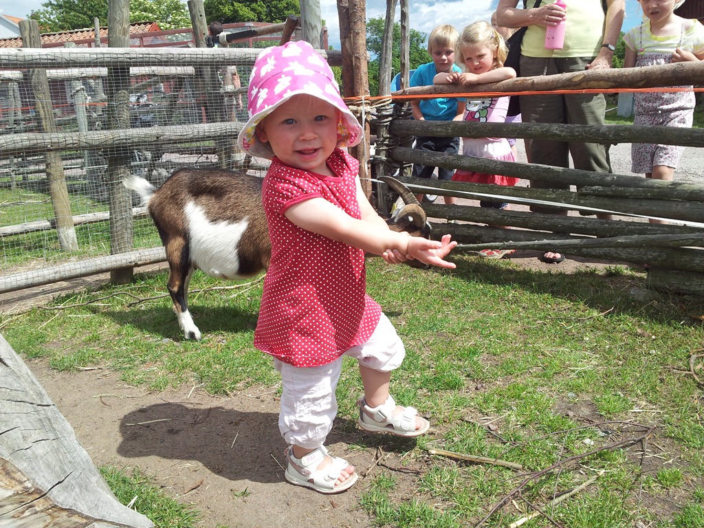 [20120628_141024%255B6%255D.jpg]