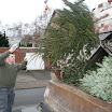 Tannenbaumaktion 08_752.jpg