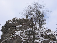 IMG_3336.JPG