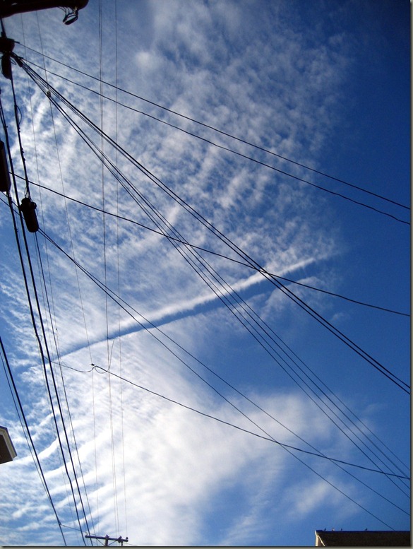 IMG_8482 IMG_8482