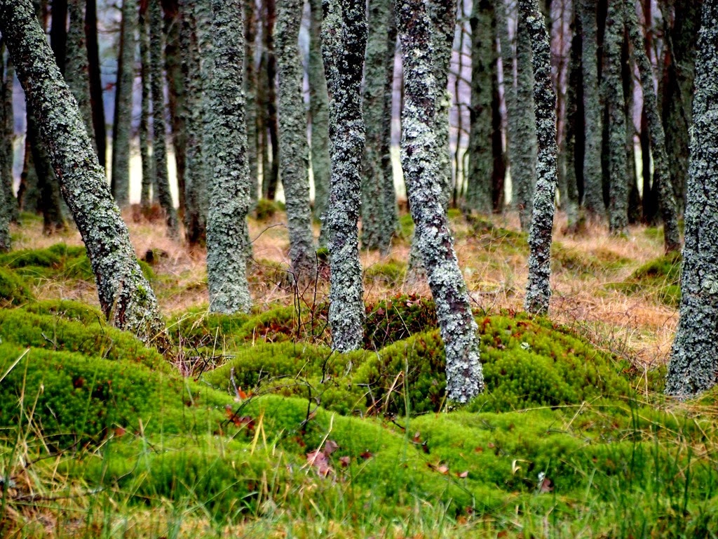 [27%2520Dec%25205%255B3%255D.jpg]