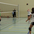 IMG_1127.JPG
