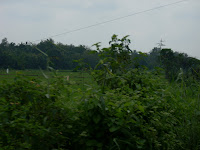 DSCN0046.JPG