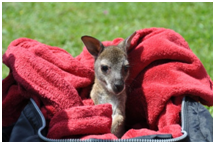 [image%255B43%255D.png]