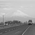 IMG_4014.jpg