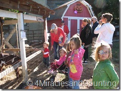 IMG_6150 IMG_6150