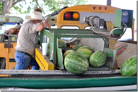 watermelons 11 0705 (70) watermelons 11 0705 (70)