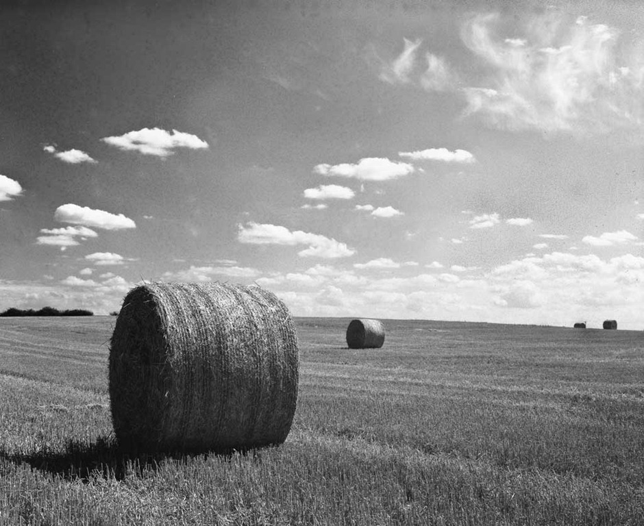 [Hay-Bales-4%255B8%255D.jpg]