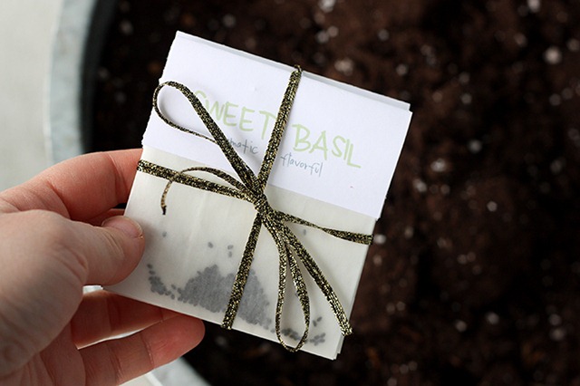 [printable%2520seed%2520packet%255B4%255D.jpg]