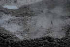 Spurts of mud, Ngamokaiakoko mudpool