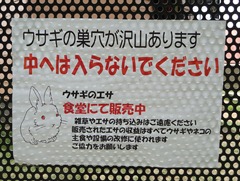 DSC08428 DSC08428