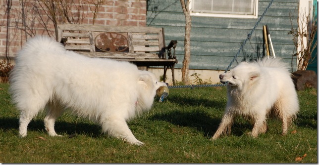 DSC_5044 DSC_5044