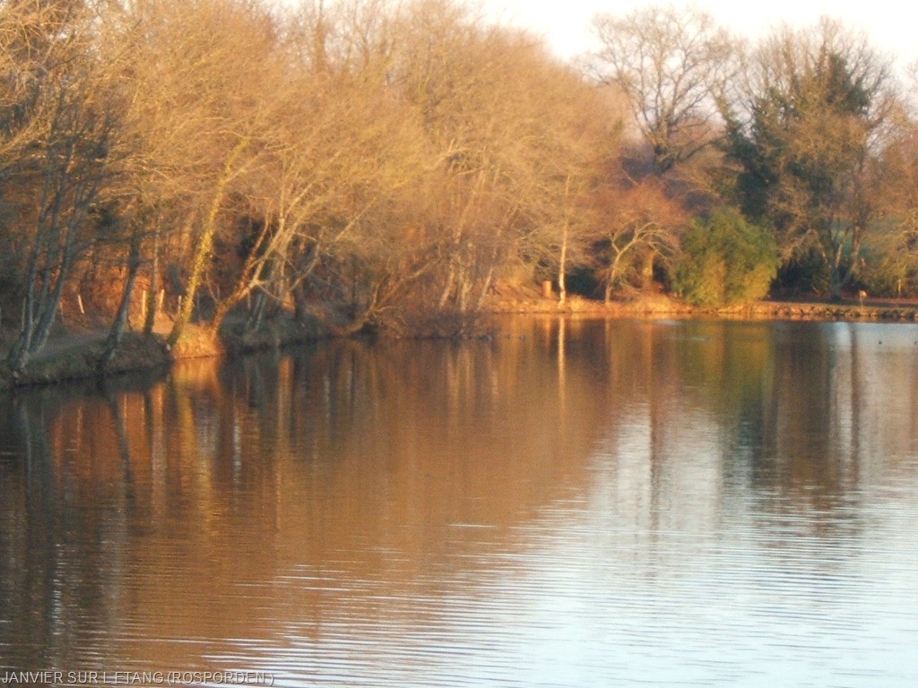 [fevrier-sur-ltang11.jpg]