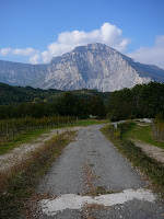 018.JPG Photo