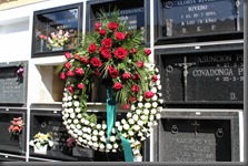 IMG_2950 IMG_2950