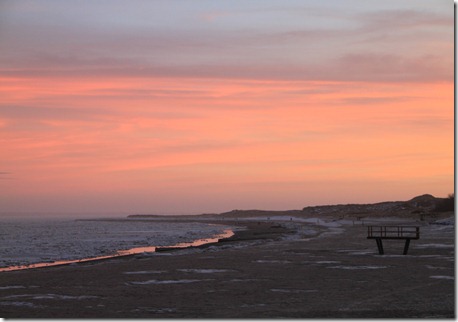 IMG_3095 IMG_3095
