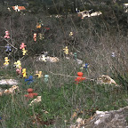 klil3.jpg