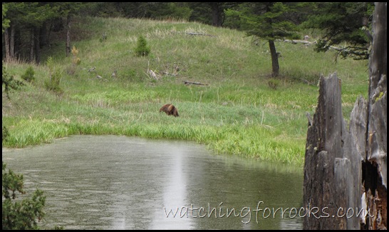 IMG_1613Beaver PondsTrail