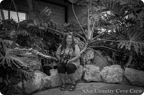 butterfly conservatory (1 of 1)-2 butterfly conservatory (1 of 1)-2