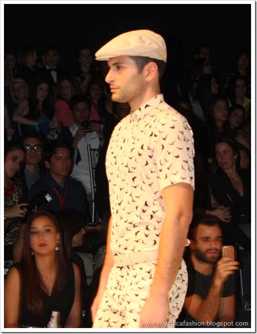 IMG_5308 IMG_5308
