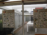 SDC11525 640x480 111009 Herfst  / Adverteerderswedstrijd
