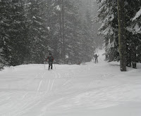 IMG_6697.JPG Photo