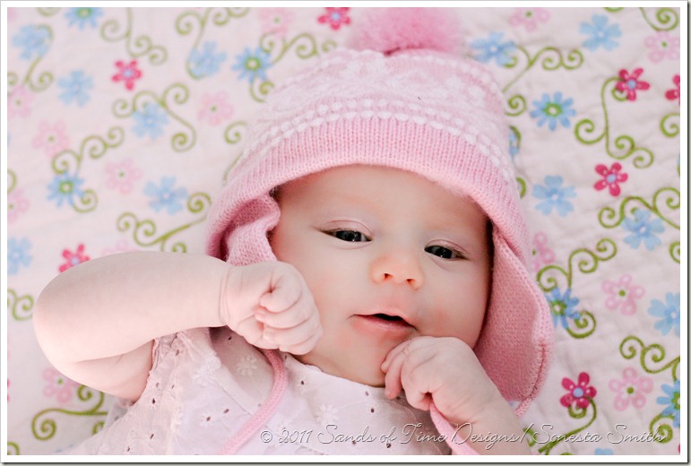 IMG_1817web