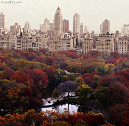[New-York-City-Fall_2%255B8%255D.jpg]