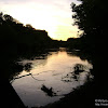 dsc03352.jpg