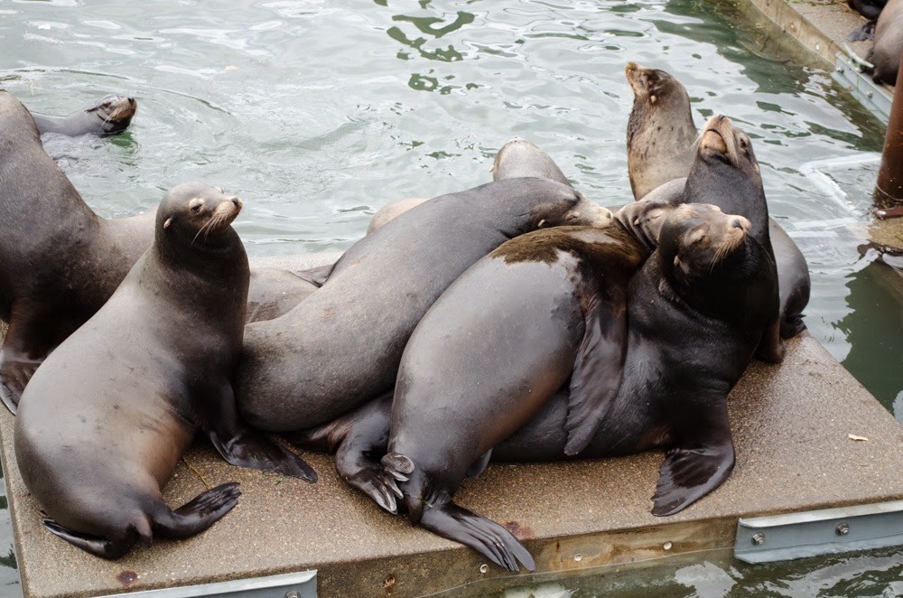 [DSC_0027%255B4%255D.jpg]