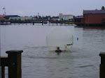 IMG00201-20090802-1930.jpg