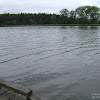 dsc03177.jpg