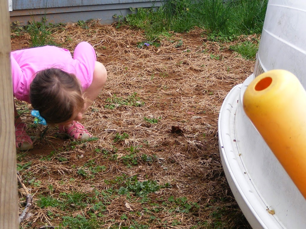 [DSCF2581%255B4%255D.jpg]