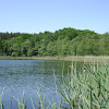 dsc03056.jpg
