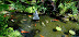 Selby Gardens.