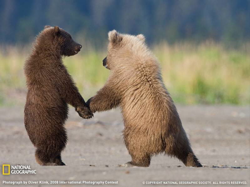 PHOTOS FROM NATIONAL GEOGRAPHIC