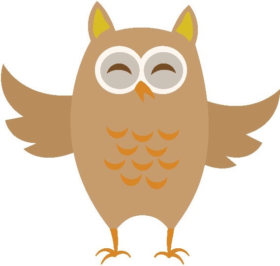 owl1 owl1