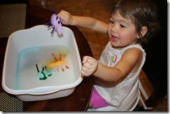 IMG_6110 IMG_6110